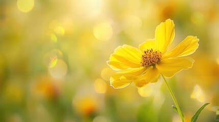 Bright Yellow Flower in Nature