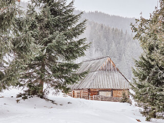 Shepherd's hut in winter in Poland mountains - Tatras