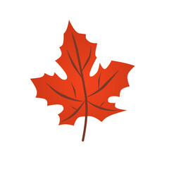 Maple Leaf Icon. Autumn Season Concept.