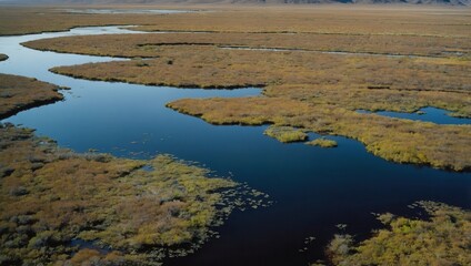Aerial view of flat marshy landscape with shallow waters reflecting the environment