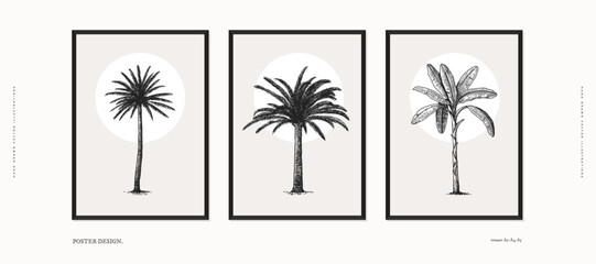 Collection of posters with graceful palm trees in engraving style. Hand drawn tropical trees. Interior painting design template. Vintage illustration on a light isolated background.