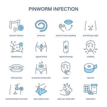 Pinworm Infection symptoms, diagnostic and treatment vector icons. Medical icons.	