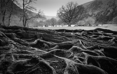 Glendalough, Wicklow Mountains, Ireland. 