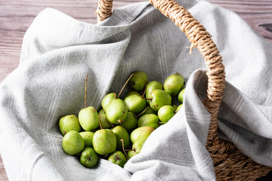 Kokuwa(kiwiberry, wild fruits) picked in hokkaido, Japan

