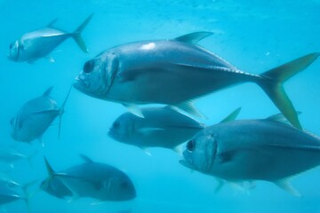 St. Thomas, United States Virgin Islands