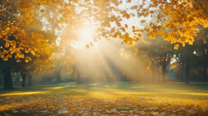 Obraz premium Golden Autumn Leaves in a Serene Park: A peaceful scene showcasing golden leaves gently falling, with sun rays filtering through the trees. 