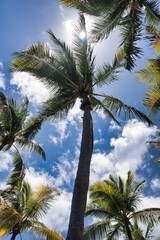 Fototapeta premium St. Thomas, United States Virgin Islands
