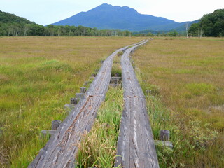 尾瀬ヶ原と燧ケ岳