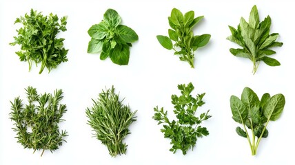Obraz premium A collection of herbs and spices are displayed in a row