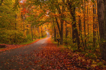 Naklejka premium A backroad in the Fall