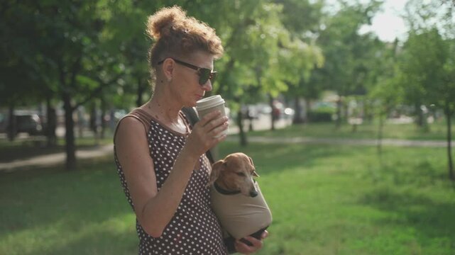 Mature, slender woman walking her dachshund dog in a carrier bag and drinking coffee to go in the sunny summer weather. Funny little dog peeking out of a carrier bag on the owner's shoulder
