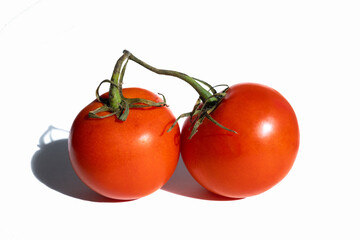 two round red tomatoes on green vine on white background with shadow