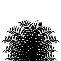 grass silhouette black