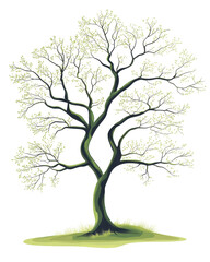 Obraz premium Stylized tree with green leaves on white background.