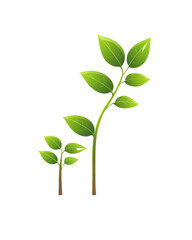 Green leaves on stems, white isolate background.
