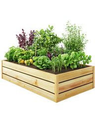 Vibrant vegetable garden in a wooden raised bed, white isolated background