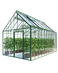 Greenhouse with vibrant plants and clear glass structure.