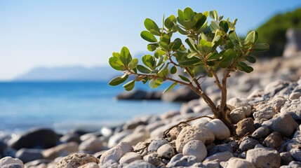 Fig tree growing wild on a cliffside with its roots gripping the rocks and the sea crashing below representing resilience and the raw beauty of nature Scientific name Ficus carica