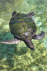 St. Thomas, United States Virgin Islands