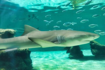 St. Thomas, United States Virgin Islands