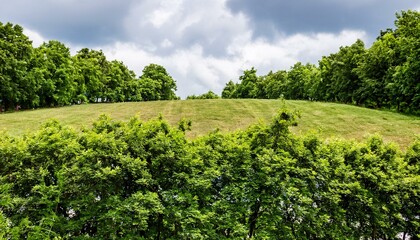 Naklejka premium Green foliage background cloudy sky in the park, summer time 