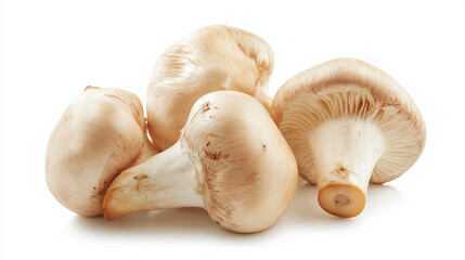 Fototapeta premium bamies isolated onwhite background