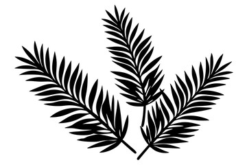 Obraz premium Silhouette illustrations of fir branches and leaves