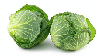 Fototapeta premium cabbage isolated on white background