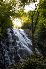 waterfall in the forest