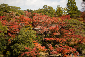 A famous river in kyoto in autumn, japan