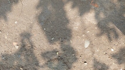 A close-up shot of rough, textured ground with dappled sunlight creating shadows. Perfect for background or overlay for your designs.