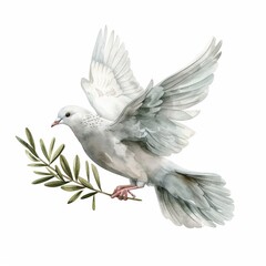 Watercolor illustration of a detailed dove carrying an olive branch clipart