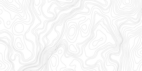 Fototapeta premium White wave paper curved reliefs abstract background. Topography map background. 