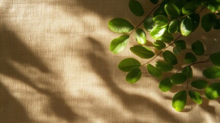 Vibrant green leaves lay on textured fabric, casting soft shadows that enhance the tranquil atmosphere of the setting