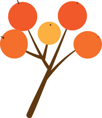 木の実がついた枝