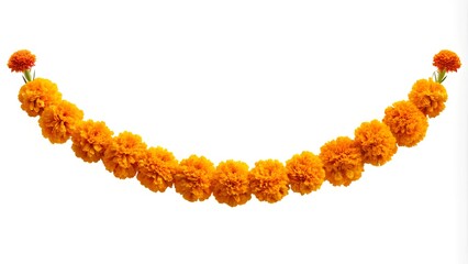 Isolated Marigold Flower Garland for Dia de los Muertos Decor