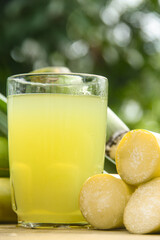 Drink from sugar cane juice, squeezed sugar cane juice with sugar cane stalks and natural background