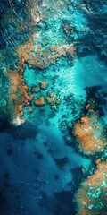 Stunning bird's-eye view of Great Barrier Reef, vibrant coral formations, open sea, copy space available