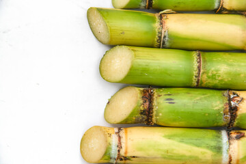 Stems from sugar cane plants or Saccharum officinarum Lin, stems from green sugar cane plants that have just been harvested © ChairilAzmi