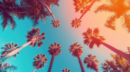 Vibrant background gradient from orange to blue, worm's-eye view of tall palm trees against clear sky, space for copy