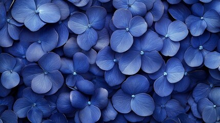 A Close-Up View of Delicate Blue Flower Petals, Creating a Texture of Softness and Elegance