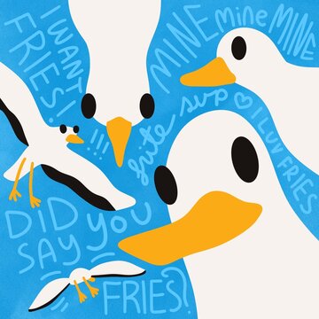 Whimsical illustration of quirky seagulls in various angles, featuring humorous 