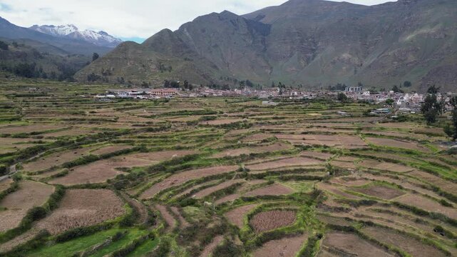 Aerial dolly shot: Pre-Inca terraced hillside at Cabanaconde in Peru