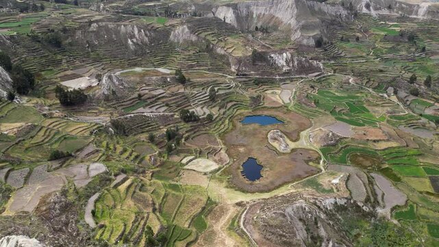 Aerial view of manufactured landscape, terraced fields in river valley