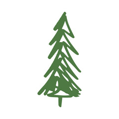 Obraz premium green christmas tree