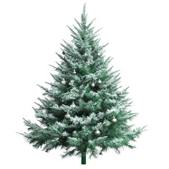 Fresh green Christmas pine tree isolated on white background