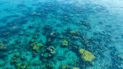 Top view. Summer sea water, blue surface. The water is clear with ripples and sparkles in the sunlight and you can see coral under the sea
