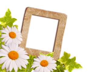 Vintage floral cardboard photo frame and daisy in retro style for sample snapshot. Template photo page. Corner flowers ornament.