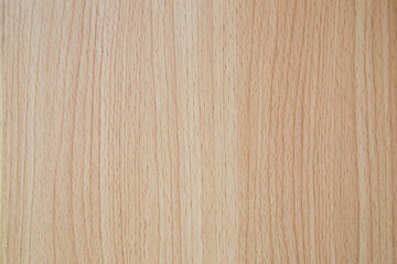 Naklejka premium Magical wood