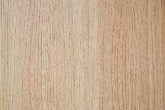 Magical wood